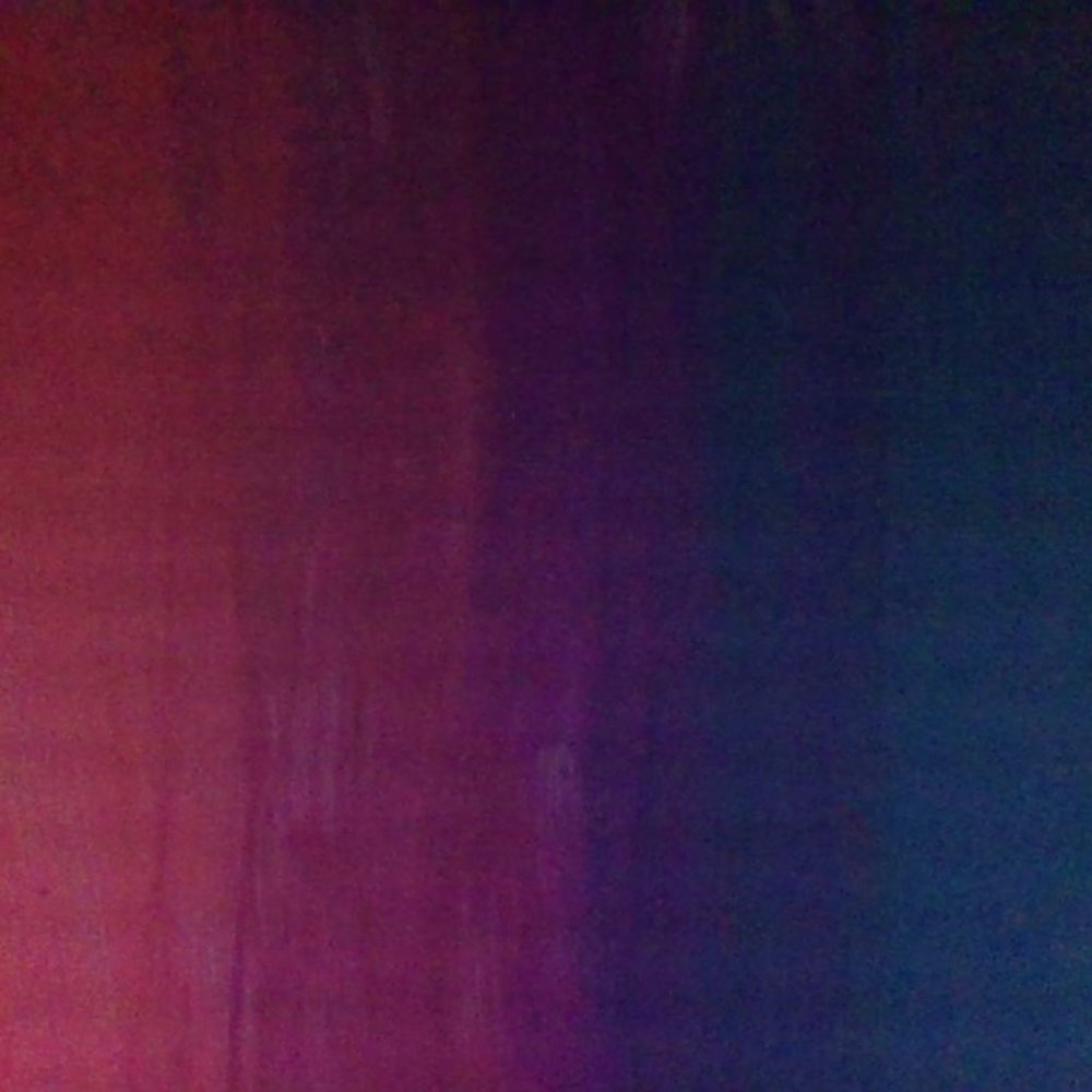 Meet your Posher, Dodger